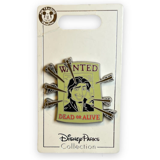 Wanted Poster - Flynn Rider Pin